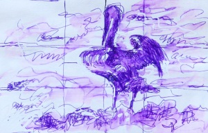 Sketch of Pelican on Seven- Mile- Beach